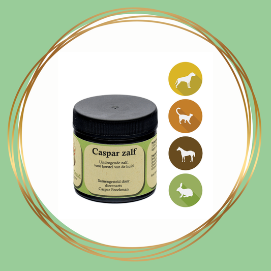 Krachtig Kruid | Caspar Zalf