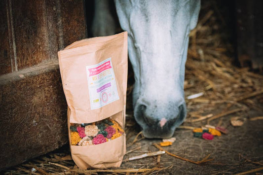 Happy Crackers - Mix di 4 cracker biologici con ricette deliziose