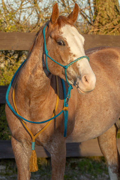Rope Halter Set Sea Salt