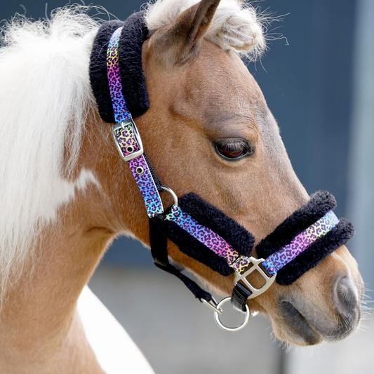 OP=OP - HB - Halster Funny Luipaard regenboog kleine maatjes