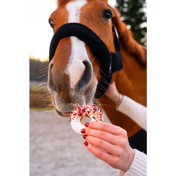 Candy Horse - Donuts aux herbes Mélange de lavande et bleuet