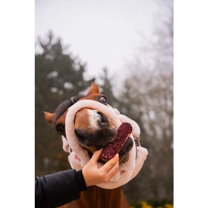 Candy Horse - Eclair alle erbe Ibisco