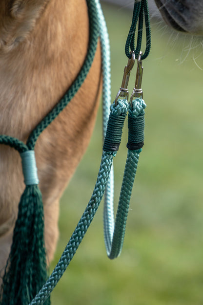 Rope holster set winter wonderland