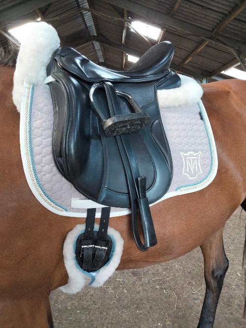 Dressuursingel standaard