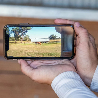 Equine Eye - Stall- und Weidekamera Vision (4G Kamera)