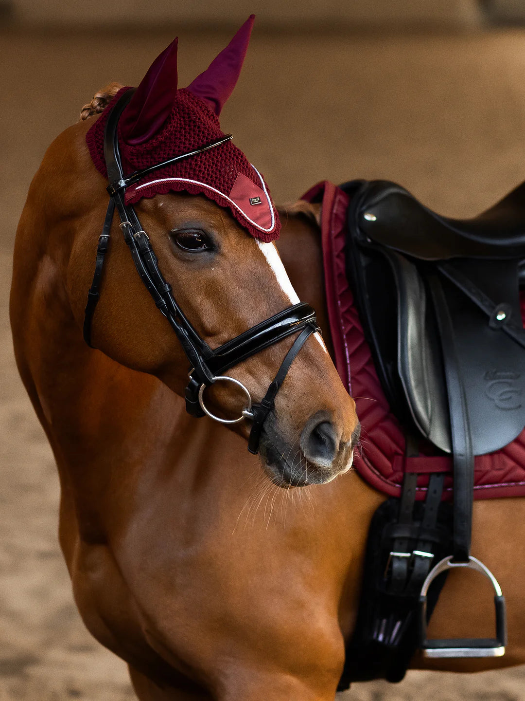 Equestrian Stockholm - Core Collection - Cappuccio orecchie Bordeaux