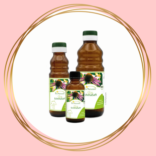PerNaturam | Echinacea juice (tip for mineral buffet!)