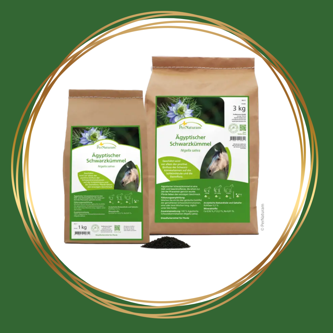 PerNaturam | Ägyptischer Schwarzkümmel (egyptische zwarte komijn)