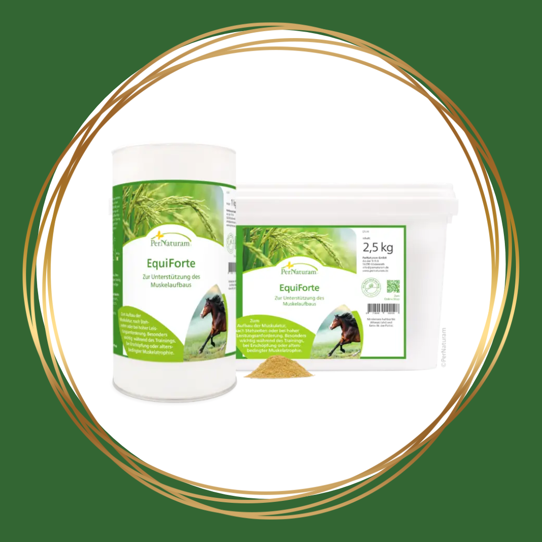 PerNaturam | EquiForte (spieropbouw en herstel)