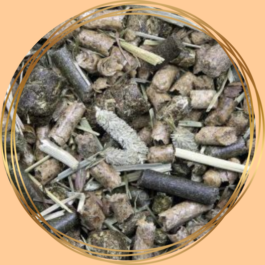 Equifyt | Green Balance