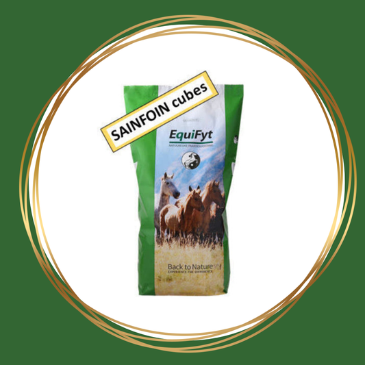 Equifyt | Sainfoin (esparcette) Cubes