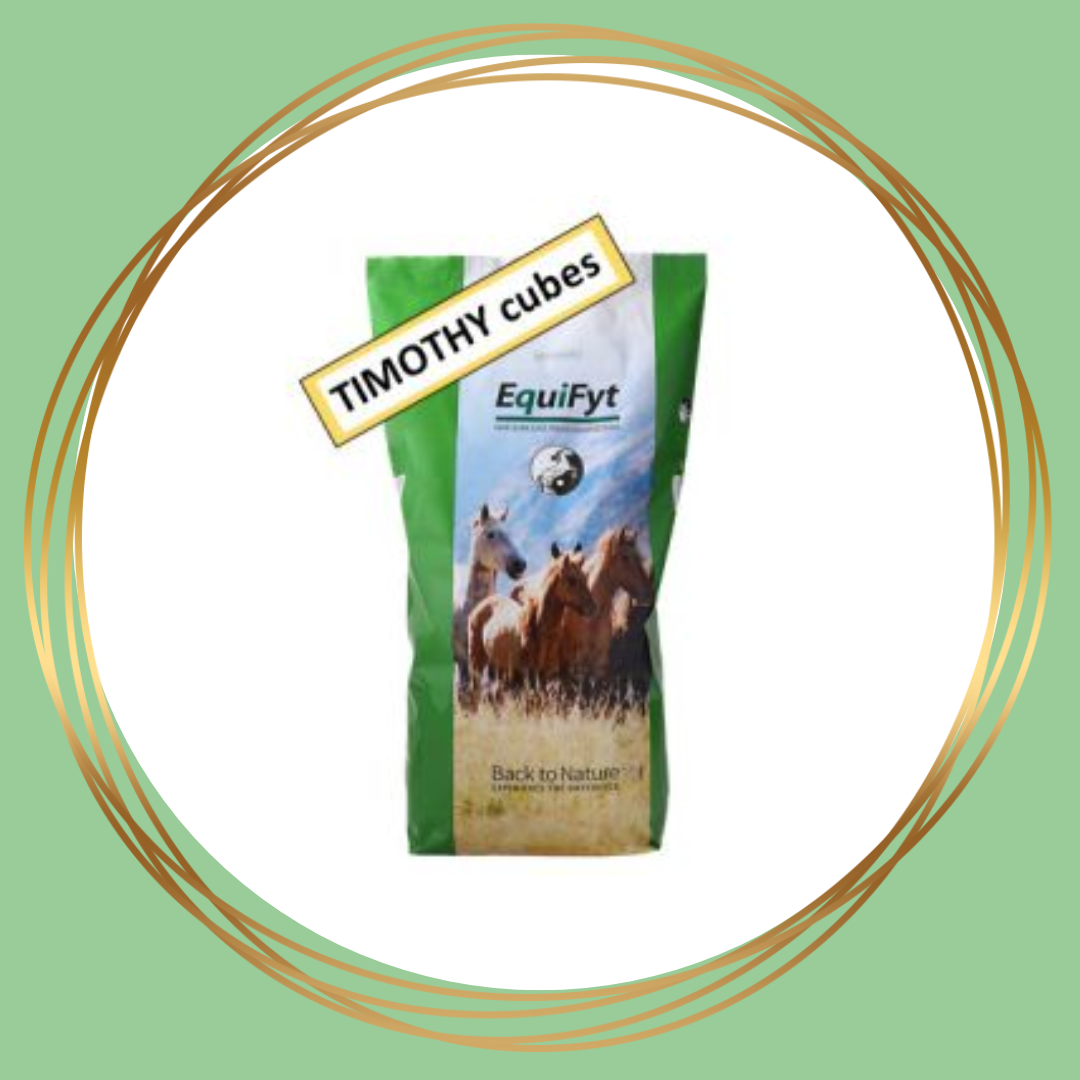 Equifyt | Timothy (timothee) Cubes