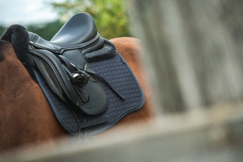 Eurofit dekje korte levertijd