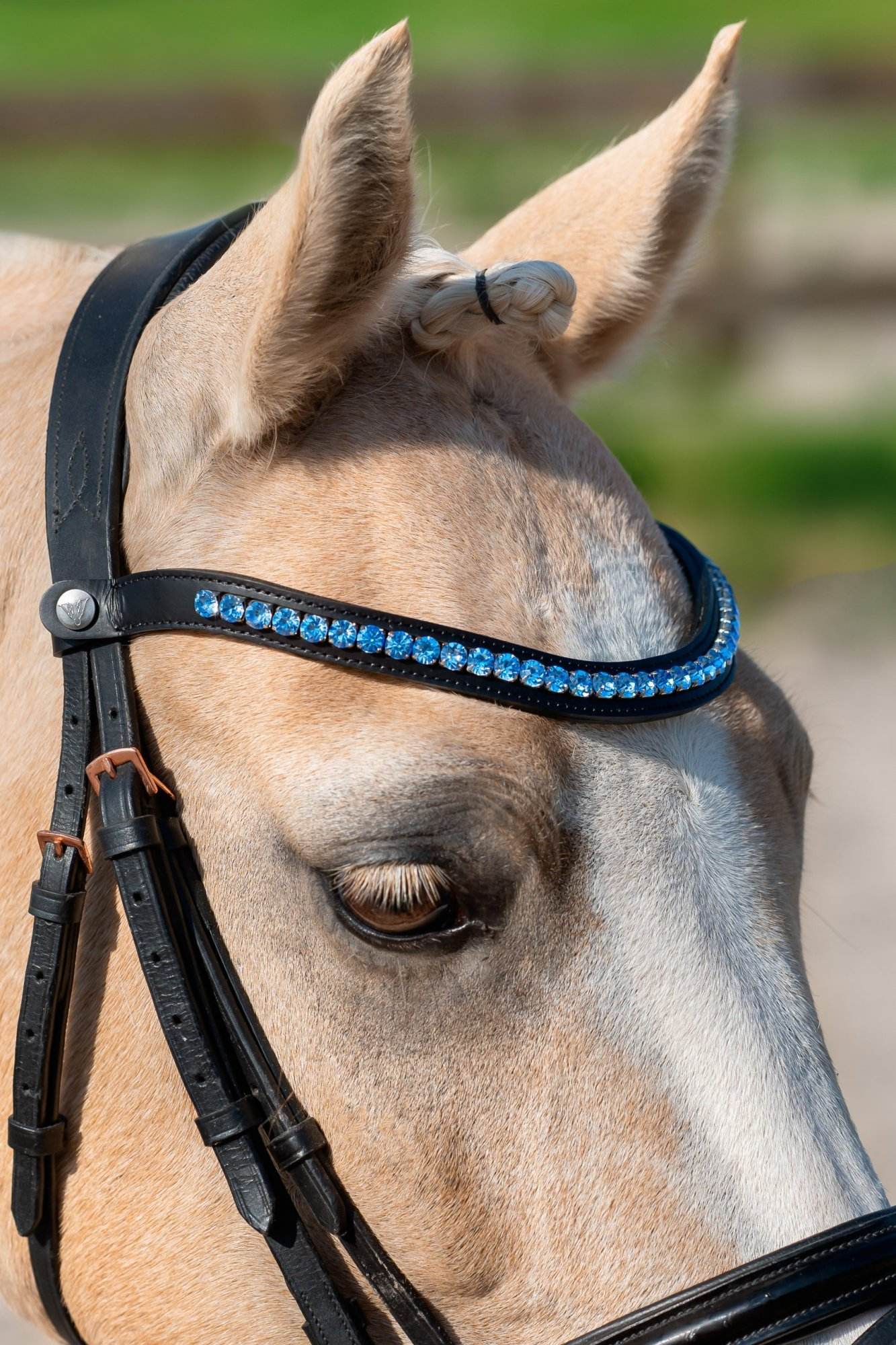 Vísolde - Frontriem Blauw