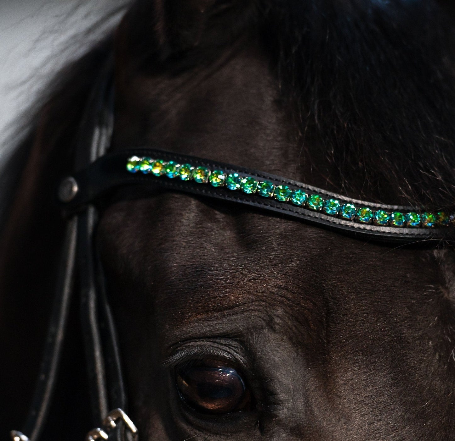 Vísolde - Frontriem Donkergroen