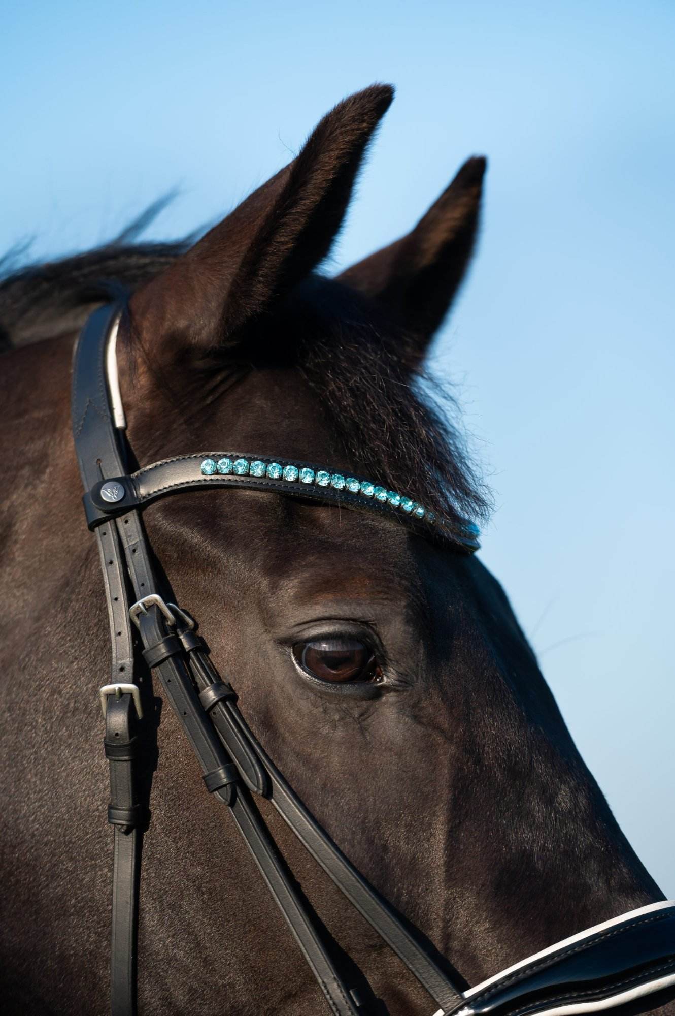 Vísolde - Frontriem Turquoise