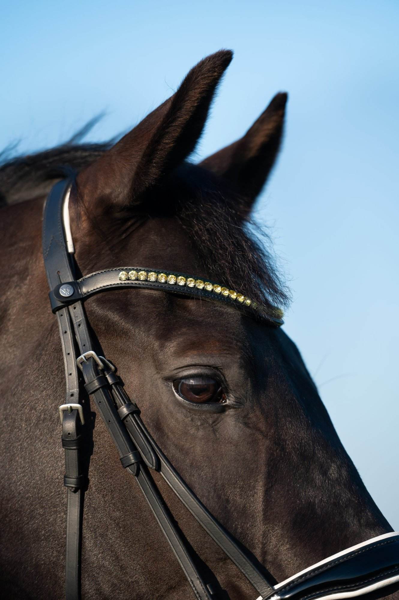 Vísolde - Frontriem Taupe