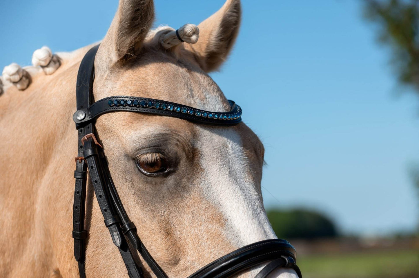 Vísolde - Frontriem Donkerblauw