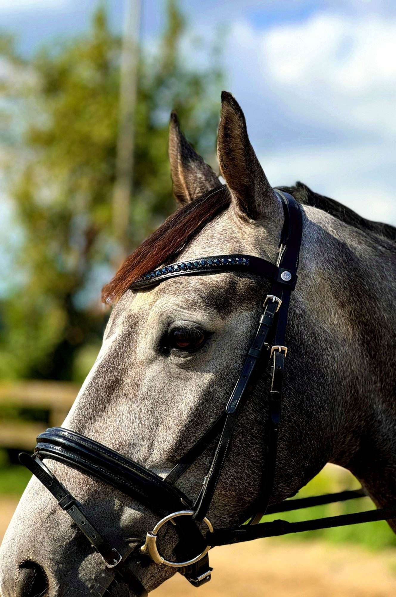 Vísolde - Frontriem Donkerblauw