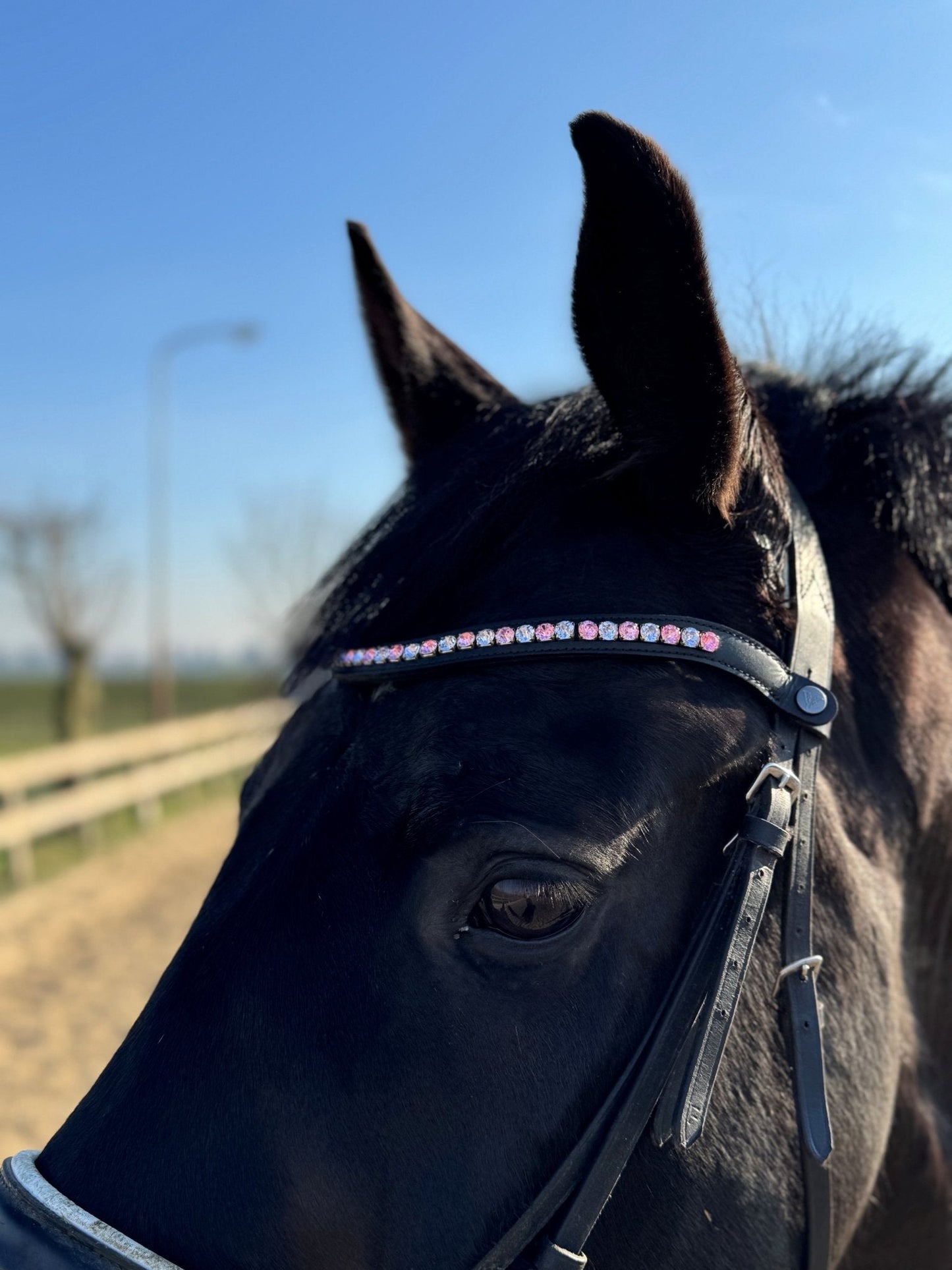 Vísolde - Frontriem Roze en Lila mix