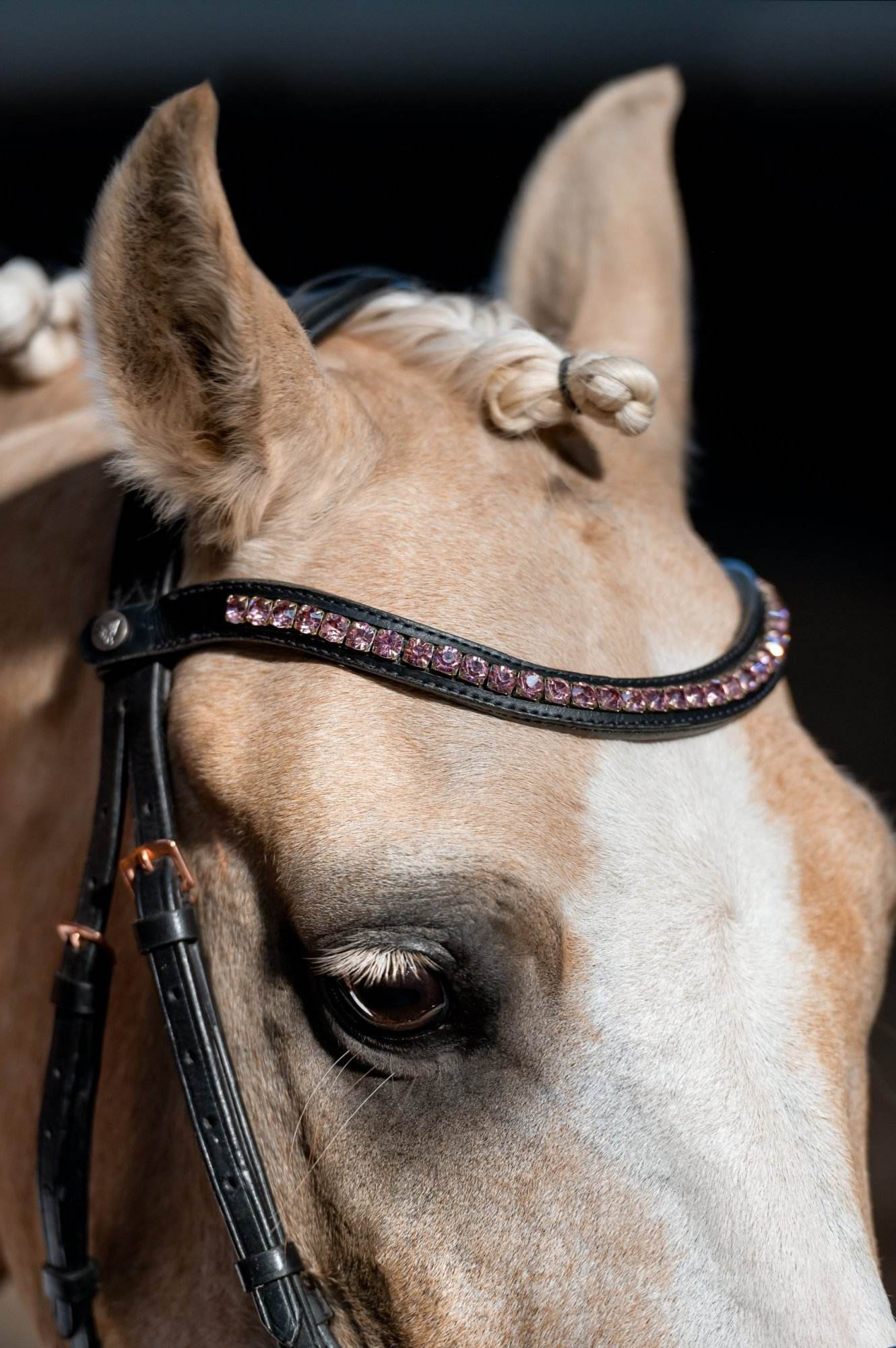 Vísolde - Frontriem Lichtroze