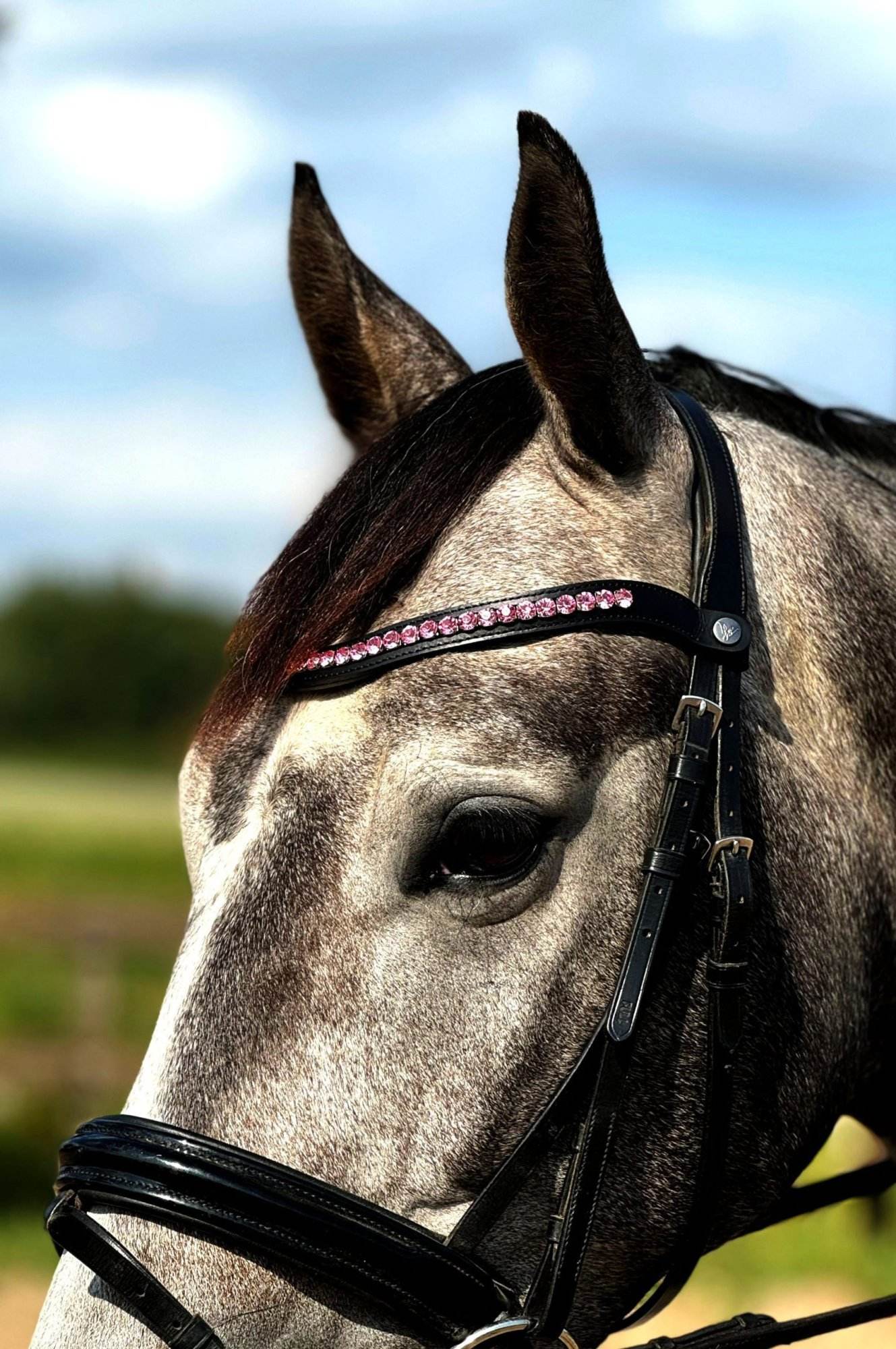 Vísolde - Frontriem Lichtroze