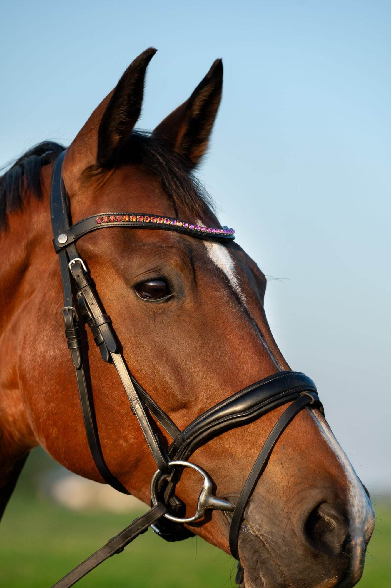 Vísolde - Frontriem Roségoud