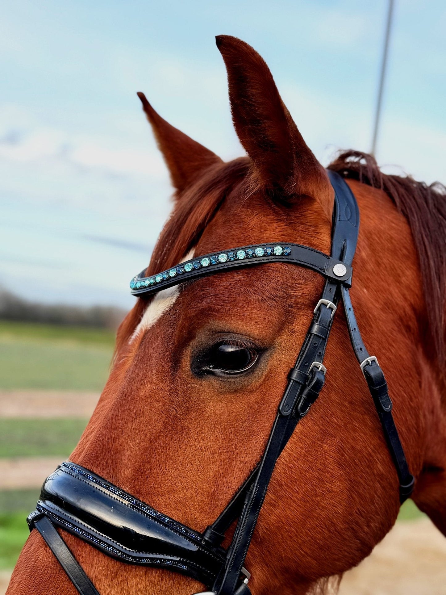Vísolde - Frontriem Turquoise en Donkerblauw mix