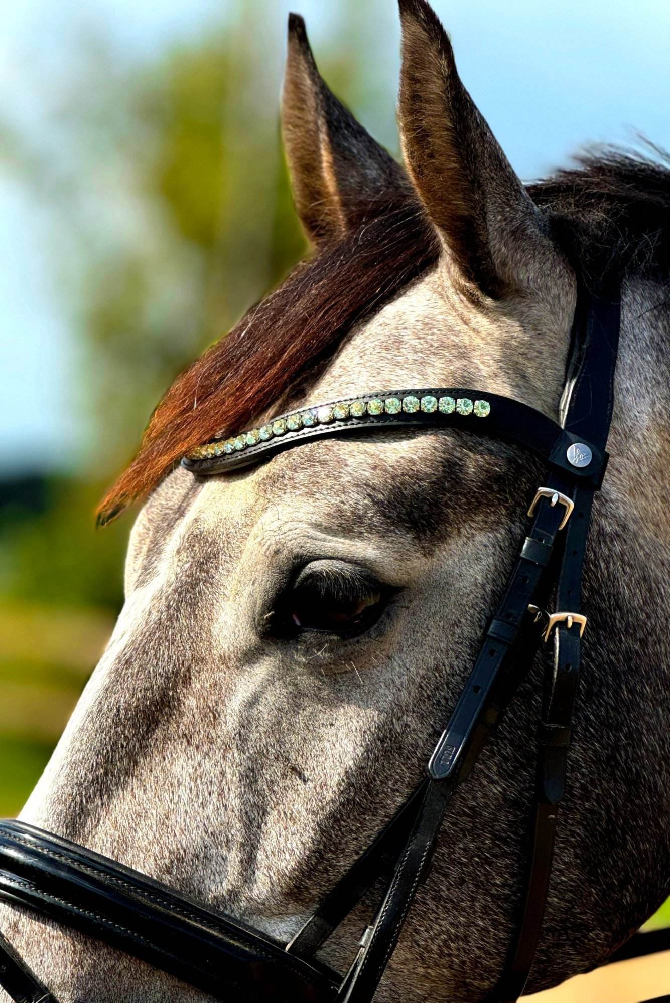 Vísolde - Frontriem Lichtgroen