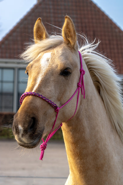 Rope halter with braided noseband fuchsia, beige and purple
