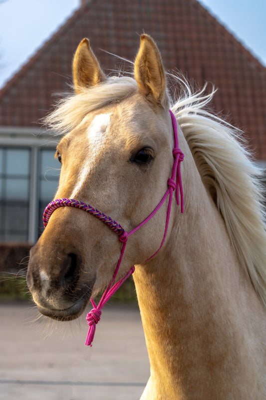 Rope halter with braided noseband fuchsia, beige and purple