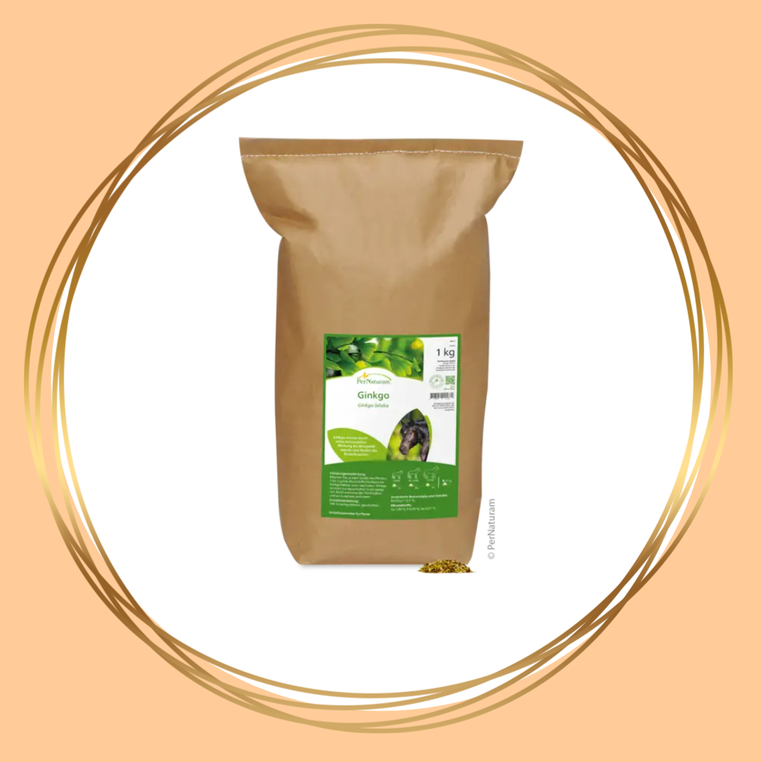 PerNaturam | Ginkgo