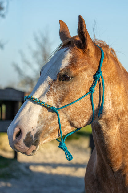 Rope Halter Set Sea Salt