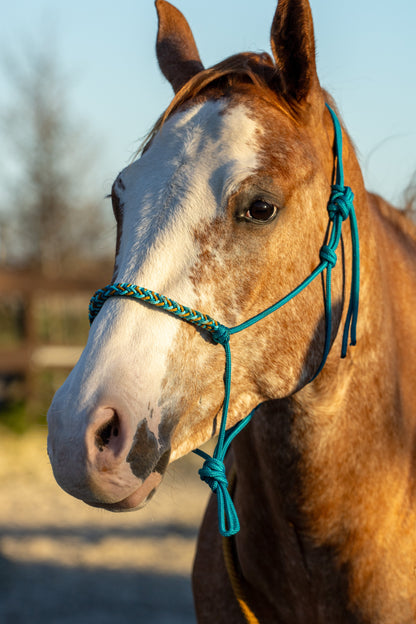 Rope halter braided noseband aqua, turquoise and caramel