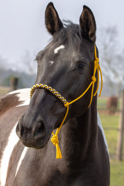 Rope halter with braided noseband honey yellow, white and black
