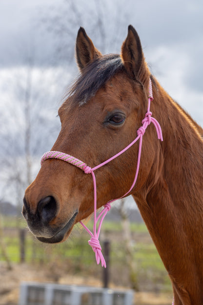 Rope Halter Set Powder Kiss