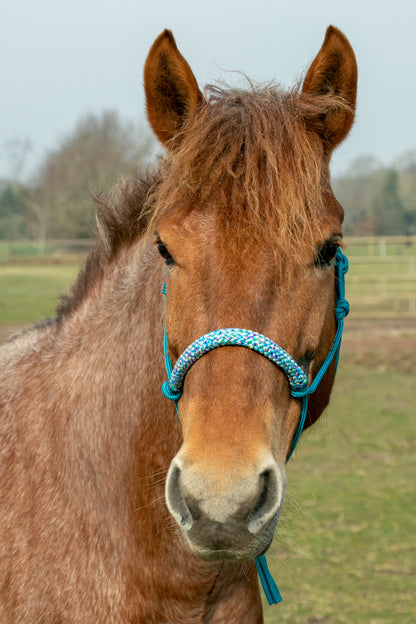 Rope halter aqua with mermaid noseband and earband