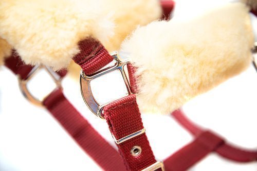 Halster met bont