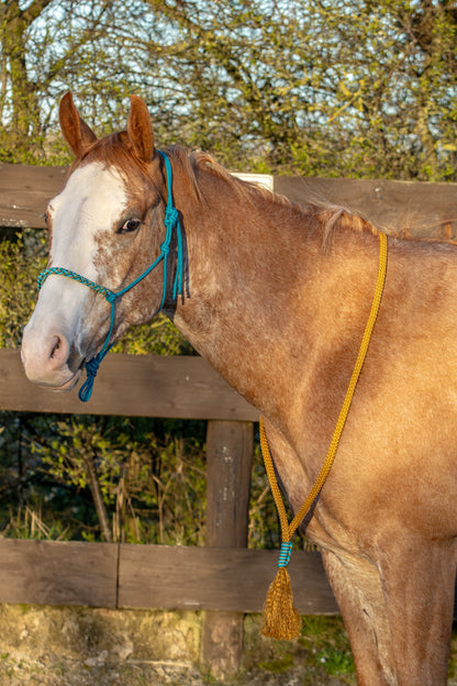 Rope Halter Set Sea Salt