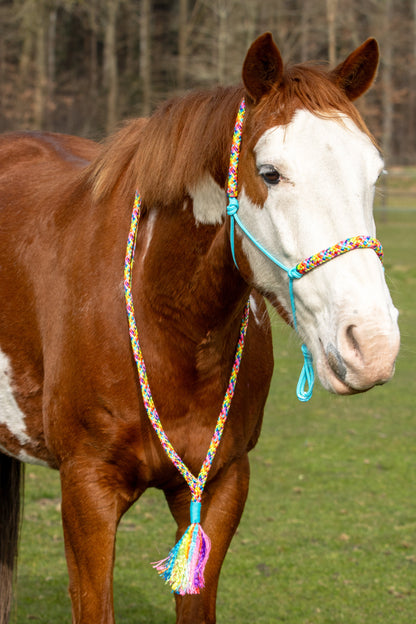Rope Halter Set Rainbow Colors