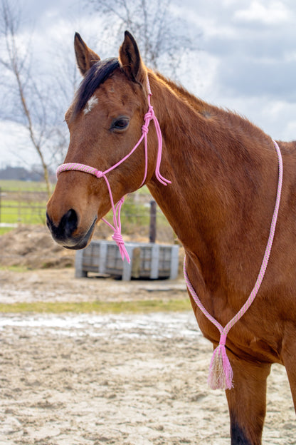 Rope Halter Set Powder Kiss
