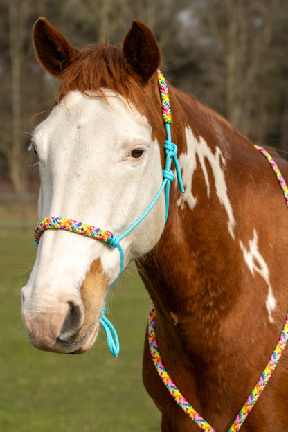 Rope Halter Set Rainbow Colors