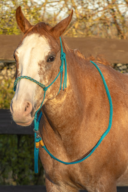 Rope Halter Set Sea Salt
