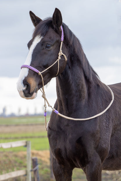 Rope Halter Set Purple Rain