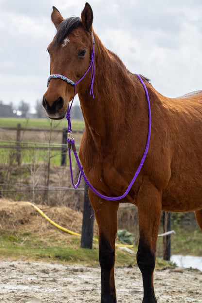 Rope Halter Set Tundra