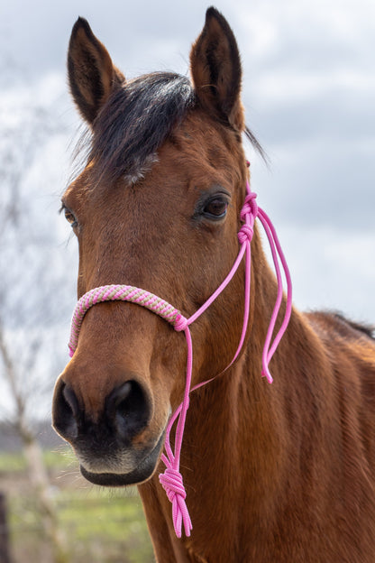 Rope Halter Set Tompouce
