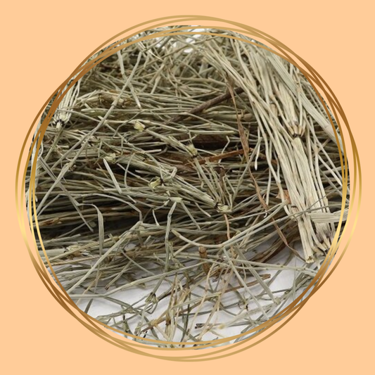 Herbimals | Horsetail (coarse)