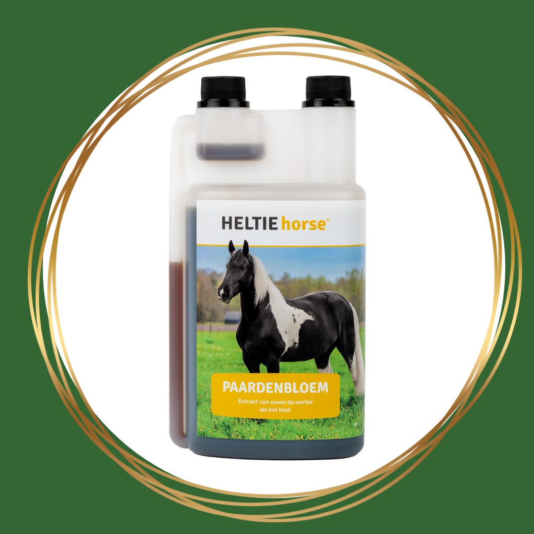 HELTIE Horse | Paardenbloem