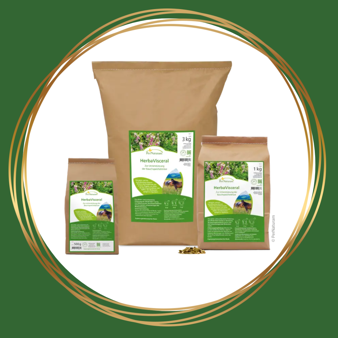 PerNaturam | Herbavisceral (reguleert de bloedsuikerspiegel)