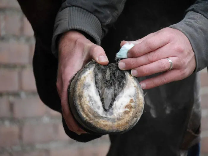 Unique-horn | Silver Hoof Sticks